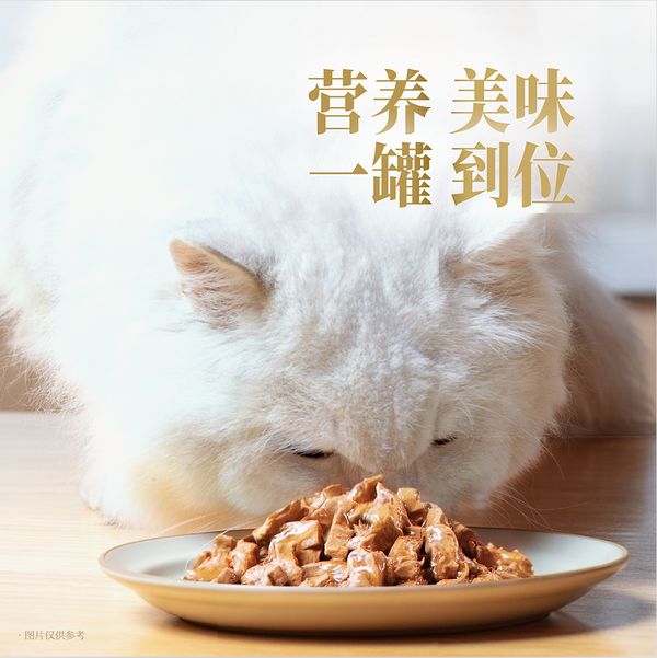 珍致主食罐應用全球?qū)＠a(chǎn)技術打造超級口感