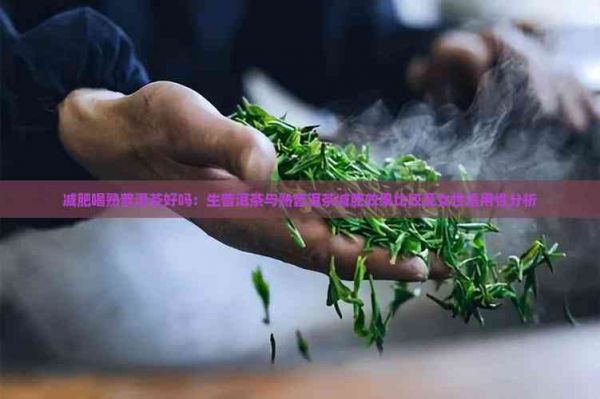 減肥喝熟普洱茶好嗎：生普洱茶與熟普洱茶減肥效果比較及女性適用性分析