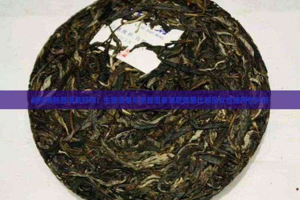 減肥喝熟普洱茶好嗎：生普洱茶與熟普洱茶減肥效果比較及女性適用性分析