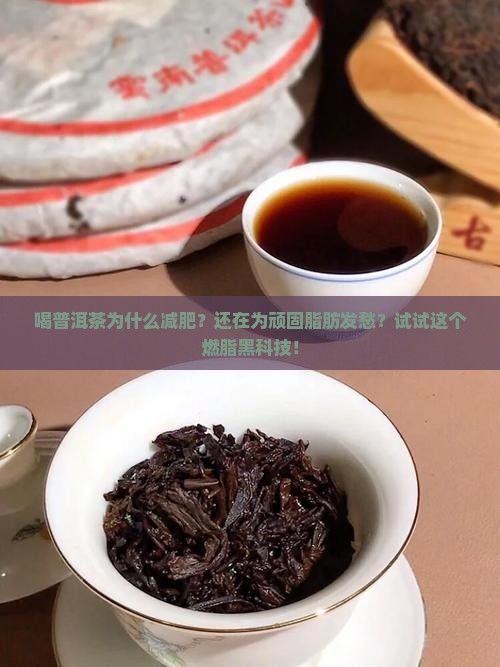喝普洱茶为什么减肥