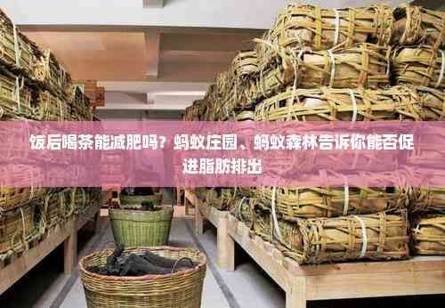 饭后喝茶能减肥吗？蚂蚁庄园、蚂蚁森林告诉你能否促进脂肪排出