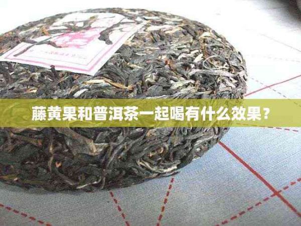 藤黄果和普洱茶一起喝有什么效果？