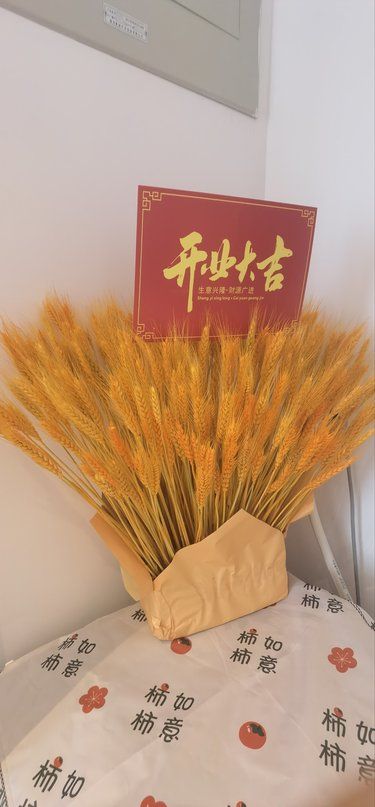 可以不用運(yùn)動(dòng)的瘦身