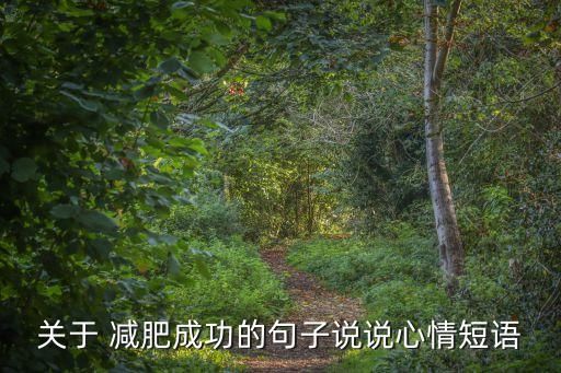 关于 减肥成功的句子说说心情短语