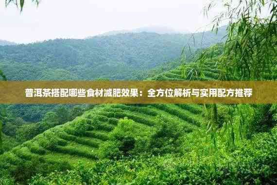普洱茶搭配哪些食材减肥效果：全方位解析与实用配方推荐