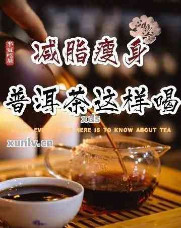 普洱茶减肥搭配指南：瘦身必备的5款茶饮，让你轻松拥有平坦小腹