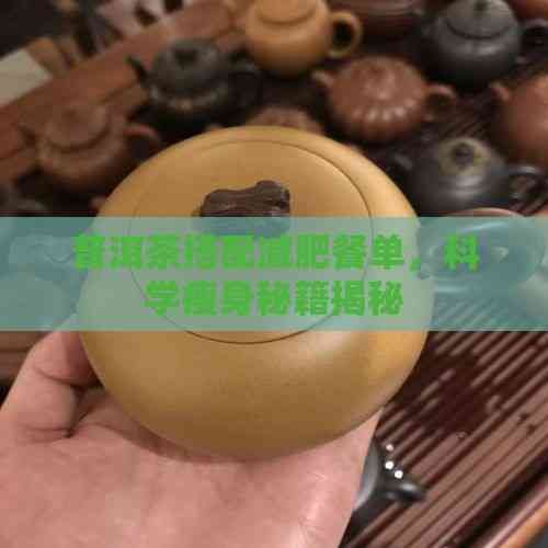 普洱茶搭配減肥餐單，科學(xué)瘦身秘籍揭秘
