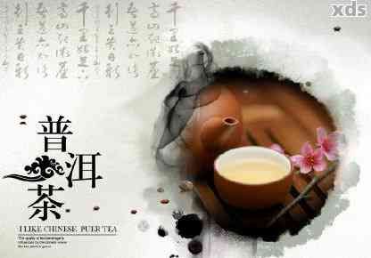 普洱茶與這些食材搭配，減肥效果更佳