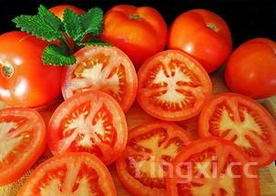 螃蟹的禁忌食物相克表，螃蟹的禁忌食物相克