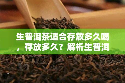 生普洱茶适合存放多久喝，存放多久？解析生普洱茶的适饮期