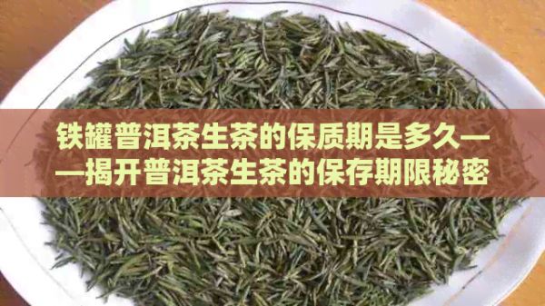 铁罐普洱茶生茶的保质期是多久——揭开普洱茶生茶的保存期限秘密