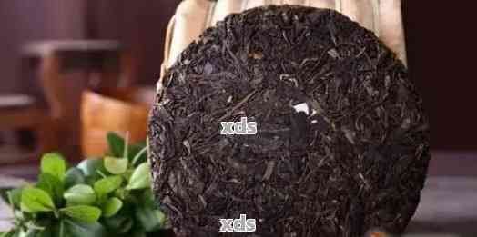 普洱茶(生茶)保质期多少年：存时间与品质的关系