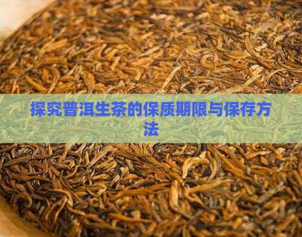 探究普洱生茶的保质期限与保存方法