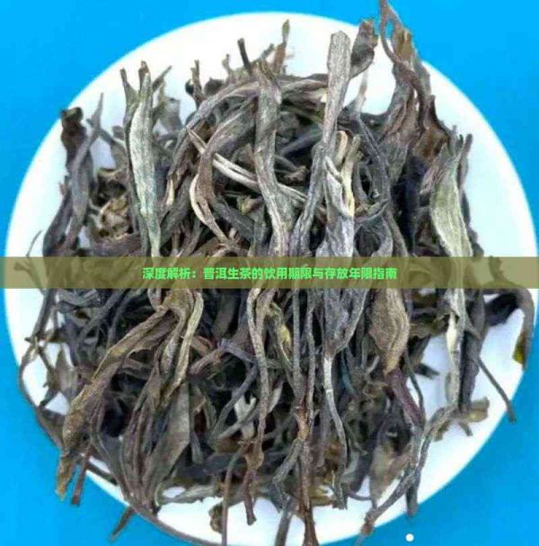 深度解析：普洱生茶的饮用期限与存放年限指南