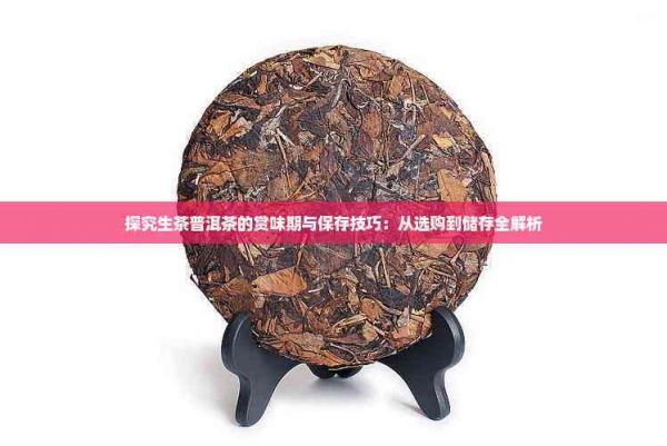 探究生茶普洱茶的赏味期与保存技巧：从选购到储存全解析