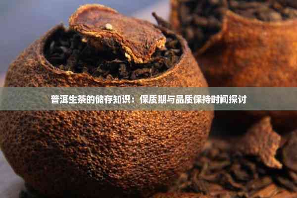 普洱生茶的储存知识：保质期与品质保持时间探讨