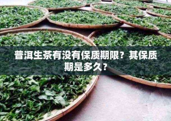 普洱生茶有没有保质期限？其保质期是多久？
