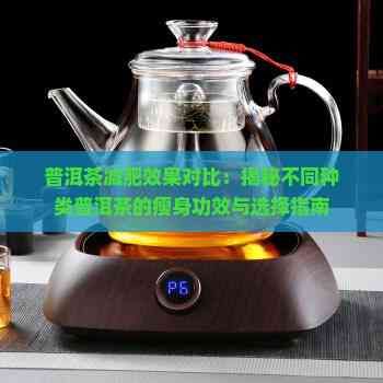 普洱茶减肥效果对比：揭秘不同种类普洱茶的瘦身功效与选择指南