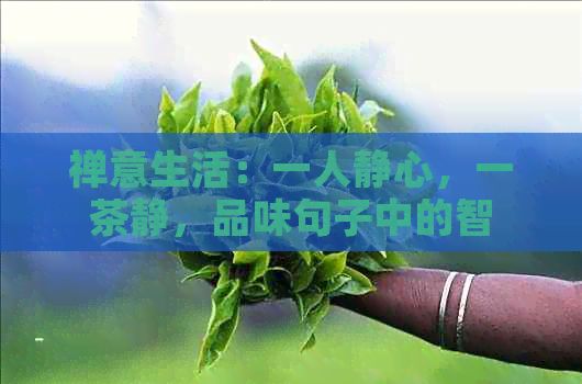 禪意生活：一人靜心，一茶靜，品味句子中的智慧與和諧