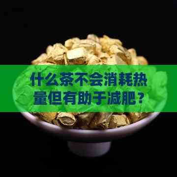 什么茶不会消耗热量但有助于减肥？