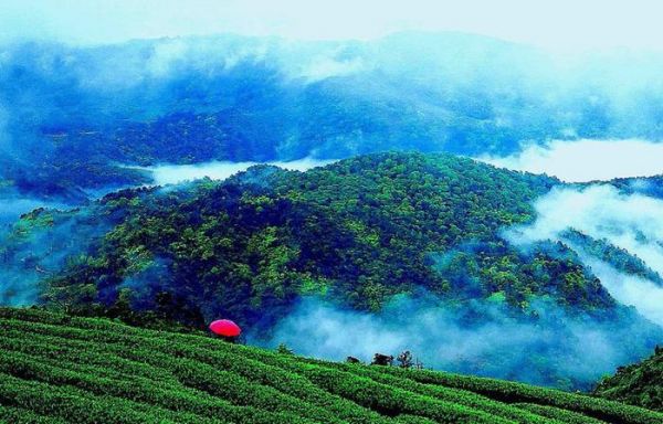 世界产茶国家，大部分遍布于地球广阔的纬度，好茶也在这里