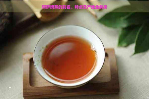 阿萨姆茶的别名、特点及产地全解析