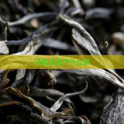 印度主要產(chǎn)什么茶