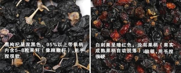 如何辨別真假黑枸杞【詳解】五個方法教你識別黑枸杞