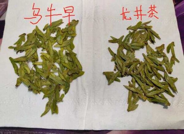 茶圈公認(rèn)的七大假茶，教你這些方法，少走彎路