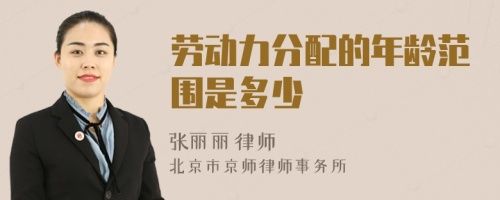 勞動力分配的年齡范圍是多少