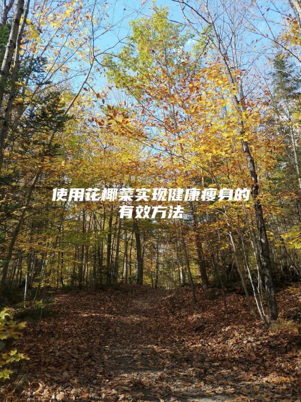 使用花椰菜实现健康瘦身的有效方法