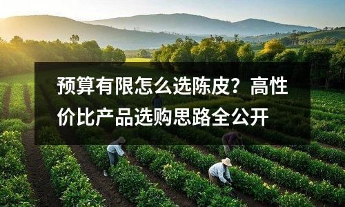 预算有限怎么选陈皮？高性价比产品选购思路全公开