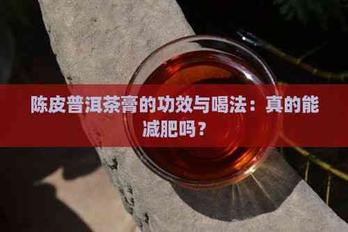 陈皮普洱茶膏的功效与喝法：真的能减肥吗？