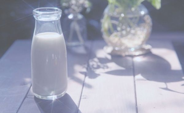 如何正确饮用牛奶？喝牛奶需注意什么禁忌？(1)