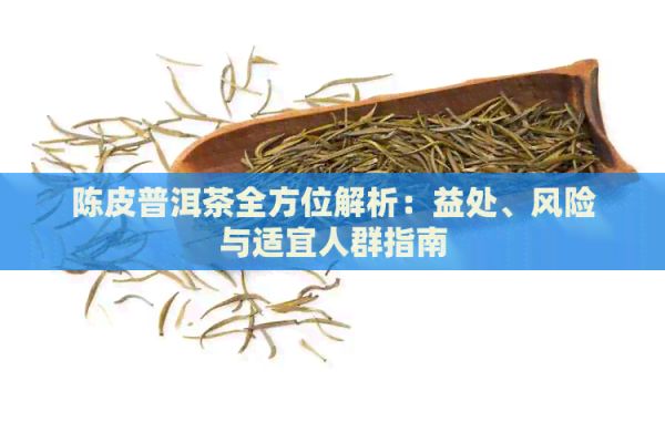 陈皮普洱茶全方位解析：益处、风险与适宜人群指南