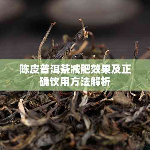 陈皮普洱茶减肥效果及正确饮用方法解析