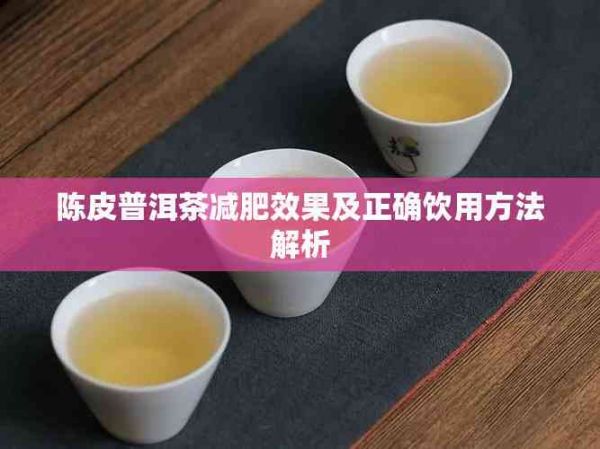 陈皮普洱茶减肥效果及正确饮用方法解析