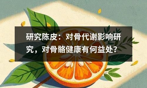 研究陈皮：对骨代谢影响研究，对骨骼健康有何益处？