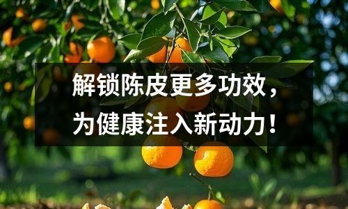 解锁陈皮更多功效，为健康注入新动力！