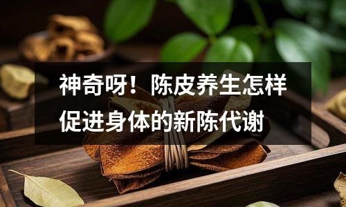神奇呀！陈皮养生怎样促进身体的新陈代谢