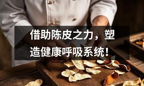 借助陈皮之力，塑造健康呼吸系统！