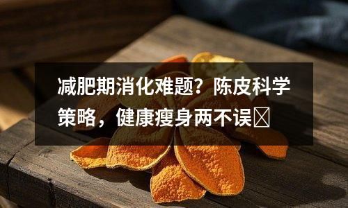 减肥期消化难题？陈皮科学策略，健康瘦身两不误​
