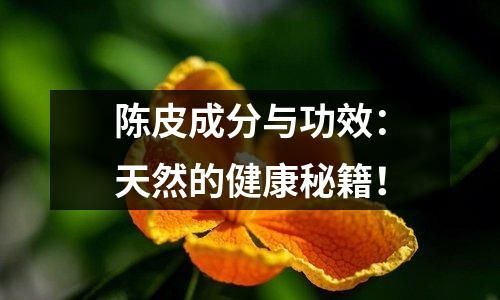 陈皮成分与功效：天然的健康秘籍！