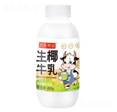 大吉果滋生椰牛乳复合蛋白饮料420g