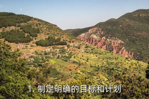 1. 制定明确的目标和计划