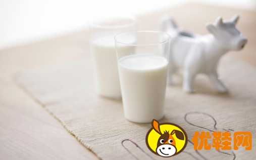 健身后喝牛奶能增肌嗎 牛奶是健身前喝還是健身后