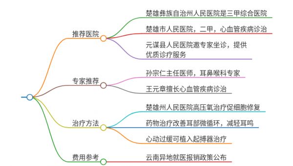 2025年云南楚雄治疗耳鸣伴心动过缓的医院有哪些