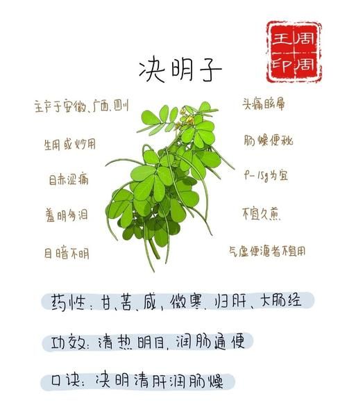 决明子白菜种植方法和时间-图3