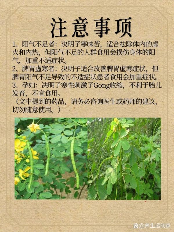 决明子白菜种植方法和时间-图2