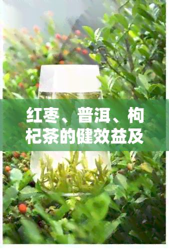 紅棗、普洱、枸杞茶的健效益及其在減肥過(guò)程中的應(yīng)用